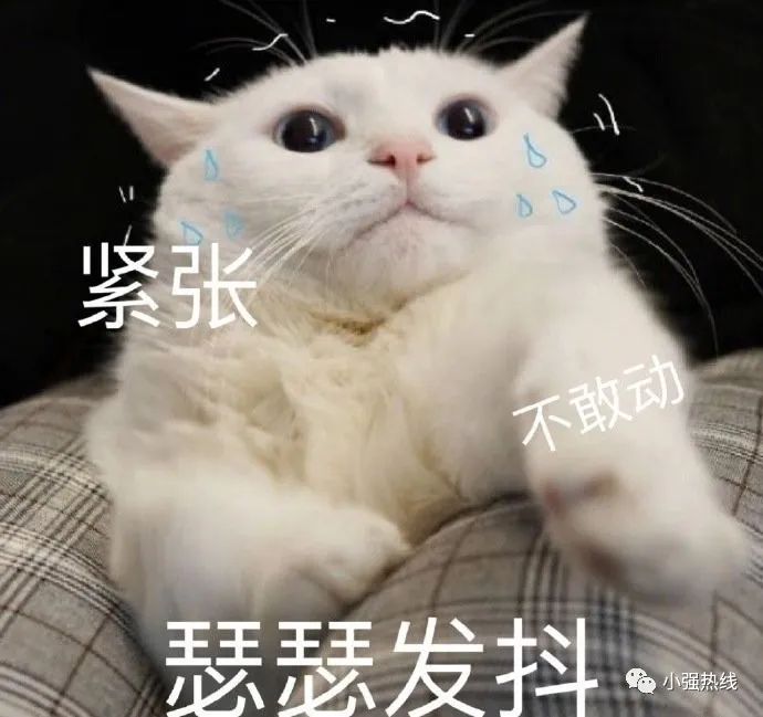DƬ